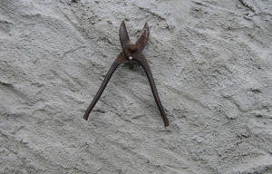Forbici